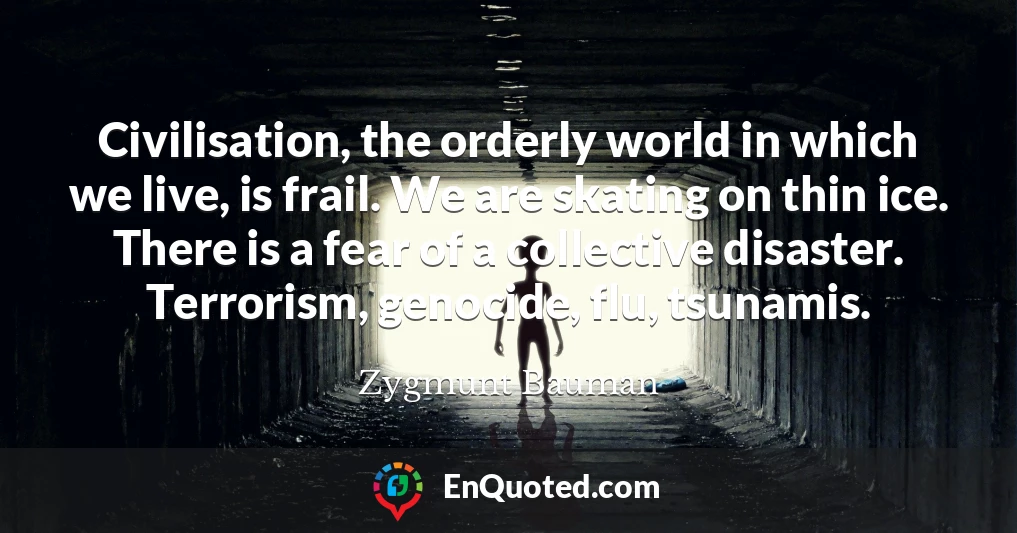 Civilisation, the orderly world in which we live, is frail. We are skating on thin ice. There is a fear of a collective disaster. Terrorism, genocide, flu, tsunamis.