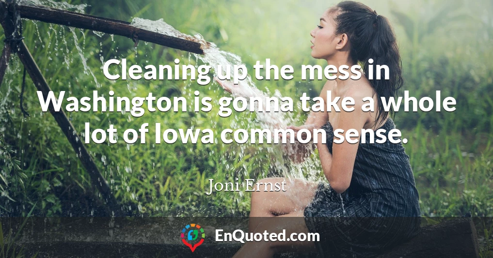 Cleaning up the mess in Washington is gonna take a whole lot of Iowa common sense.