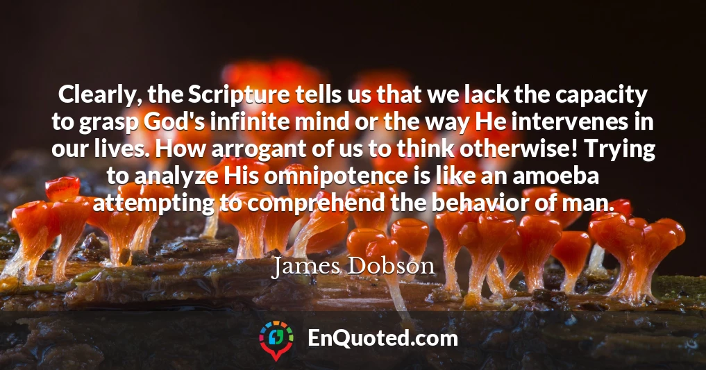 Clearly, the Scripture tells us that we lack the capacity to grasp God's infinite mind or the way He intervenes in our lives. How arrogant of us to think otherwise! Trying to analyze His omnipotence is like an amoeba attempting to comprehend the behavior of man.