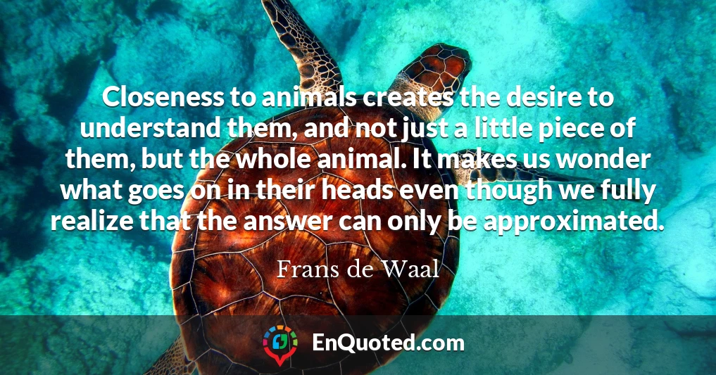 Closeness to animals creates the desire to understand them, and not just a little piece of them, but the whole animal. It makes us wonder what goes on in their heads even though we fully realize that the answer can only be approximated.