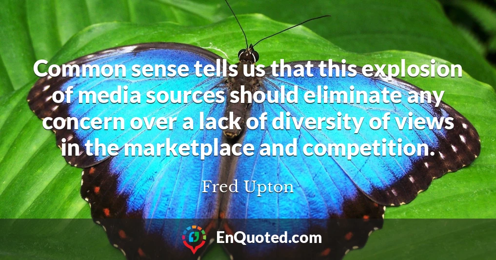 Common sense tells us that this explosion of media sources should eliminate any concern over a lack of diversity of views in the marketplace and competition.