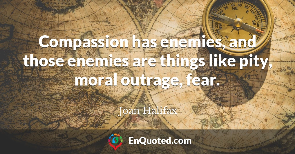 Compassion has enemies, and those enemies are things like pity, moral outrage, fear.
