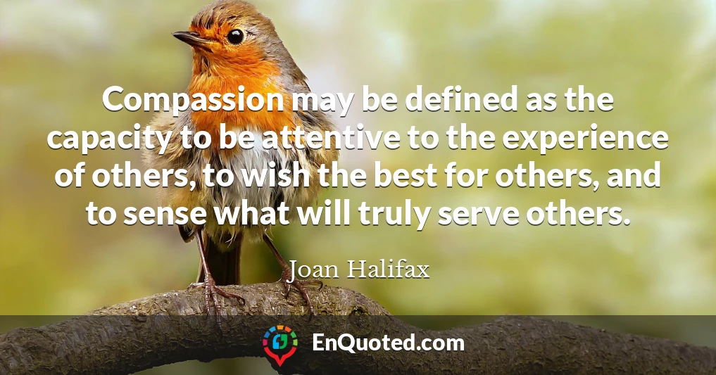 Compassion may be defined as the capacity to be attentive to the experience of others, to wish the best for others, and to sense what will truly serve others.