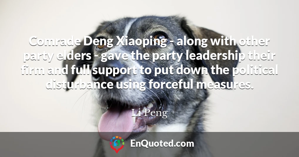 Comrade Deng Xiaoping - along with other party elders - gave the party leadership their firm and full support to put down the political disturbance using forceful measures.
