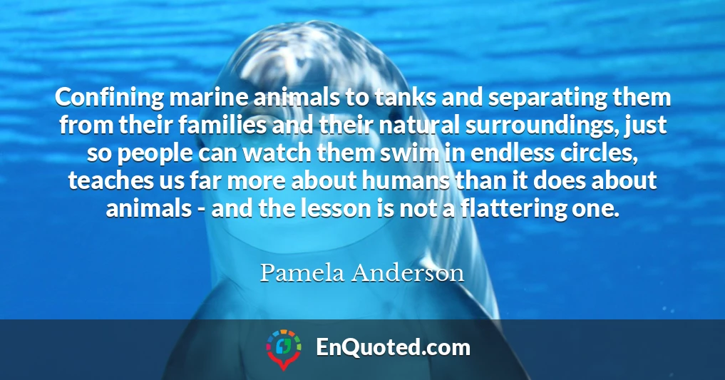 Confining marine animals to tanks and separating them from their families and their natural surroundings, just so people can watch them swim in endless circles, teaches us far more about humans than it does about animals - and the lesson is not a flattering one.