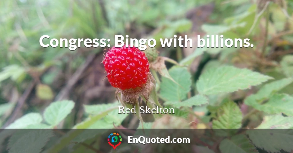 Congress: Bingo with billions.