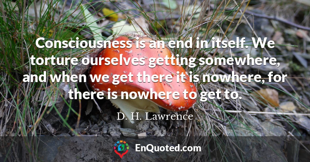 Consciousness is an end in itself. We torture ourselves getting somewhere, and when we get there it is nowhere, for there is nowhere to get to.