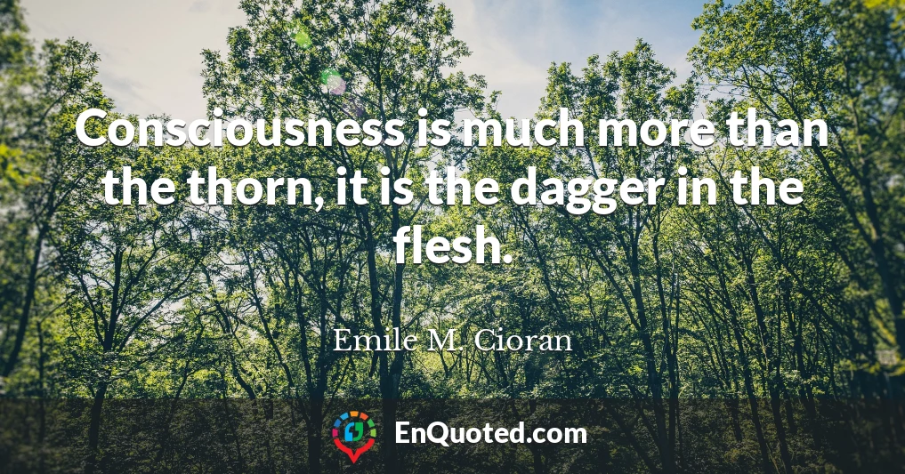 Consciousness is much more than the thorn, it is the dagger in the flesh.