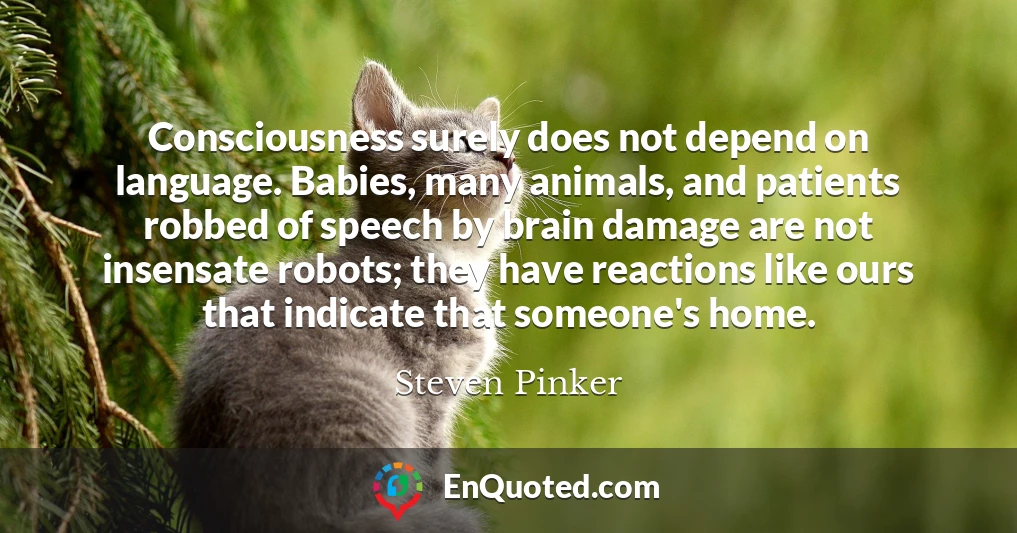 Consciousness surely does not depend on language. Babies, many animals, and patients robbed of speech by brain damage are not insensate robots; they have reactions like ours that indicate that someone's home.