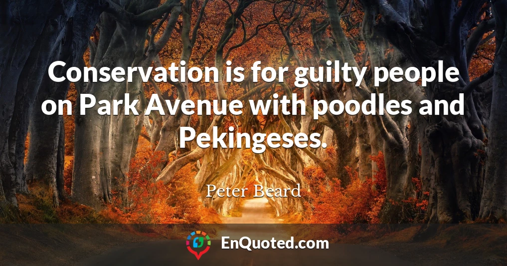Conservation is for guilty people on Park Avenue with poodles and Pekingeses.