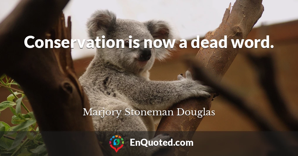 Conservation is now a dead word.