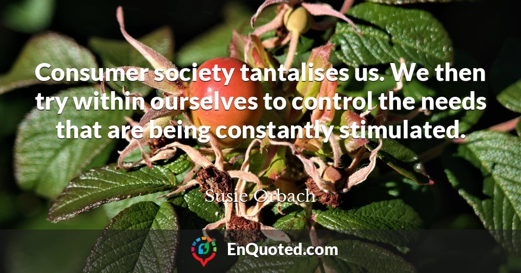 Consumer society tantalises us. We then try within ourselves to control the needs that are being constantly stimulated.