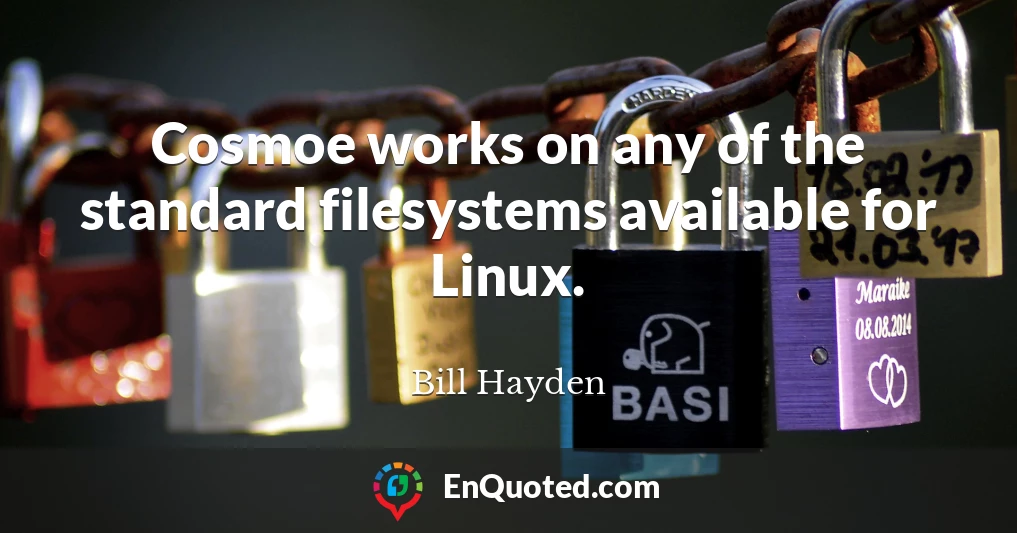 Cosmoe works on any of the standard filesystems available for Linux.