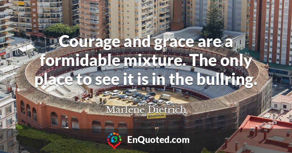 Courage and grace are a formidable mixture. The only place to see it is in the bullring.
