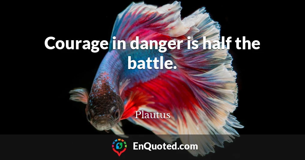 Courage in danger is half the battle.