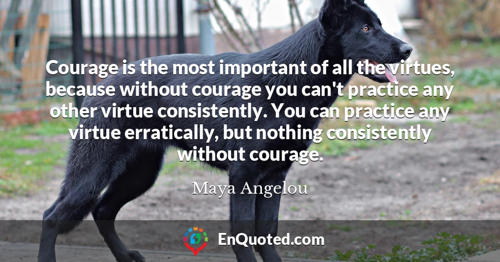 Courage is the most important of all the virtues, because without courage you can't practice any other virtue consistently. You can practice any virtue erratically, but nothing consistently without courage.