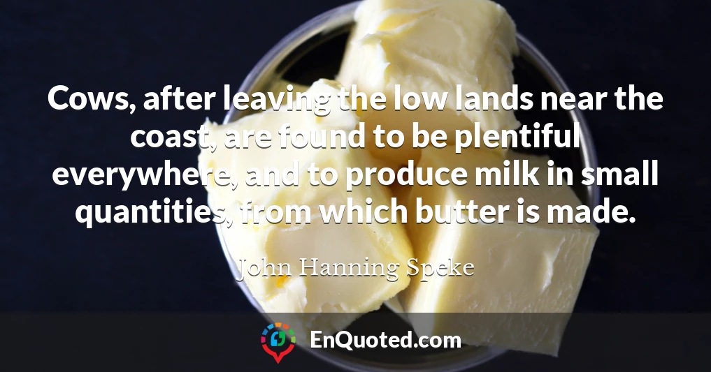 Cows, after leaving the low lands near the coast, are found to be plentiful everywhere, and to produce milk in small quantities, from which butter is made.