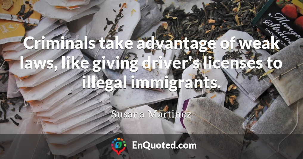 Criminals take advantage of weak laws, like giving driver's licenses to illegal immigrants.