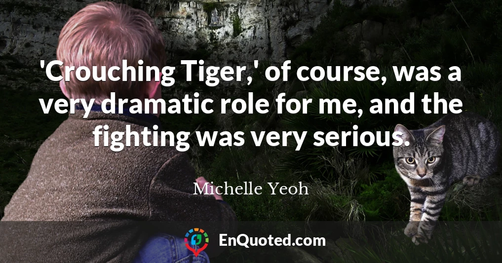 'Crouching Tiger,' of course, was a very dramatic role for me, and the fighting was very serious.