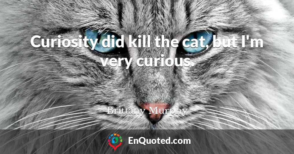 Curiosity did kill the cat, but I'm very curious.