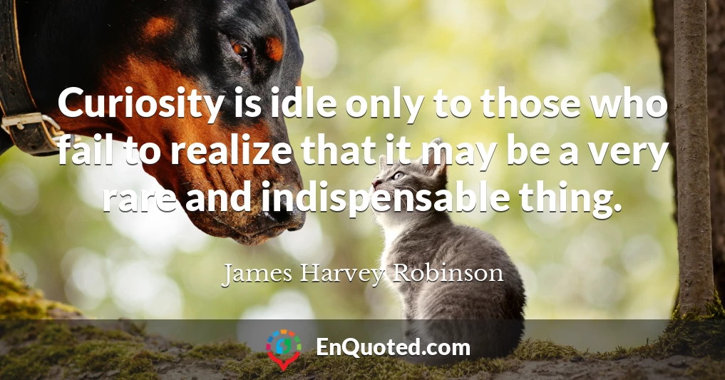 Curiosity is idle only to those who fail to realize that it may be a very rare and indispensable thing.