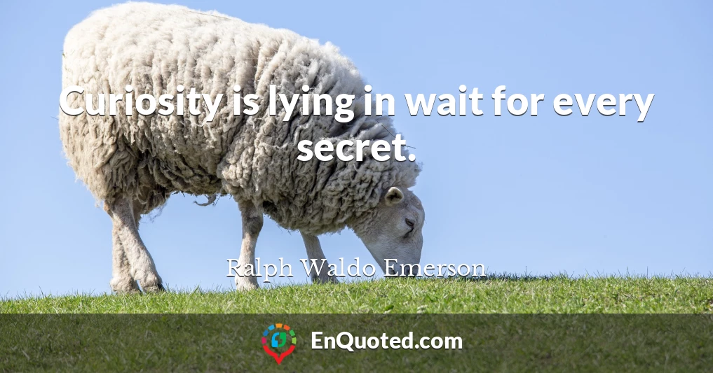 Curiosity is lying in wait for every secret.