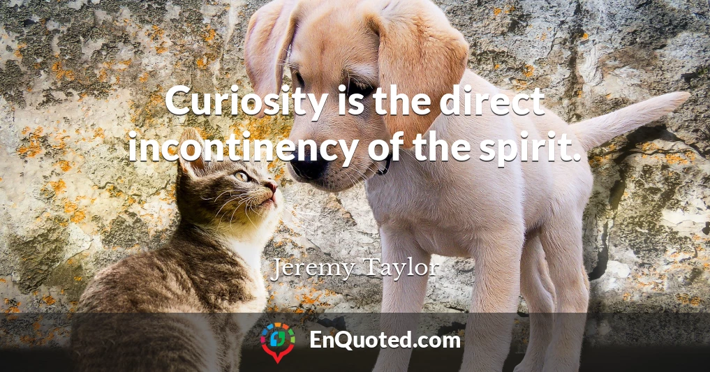 Curiosity is the direct incontinency of the spirit.