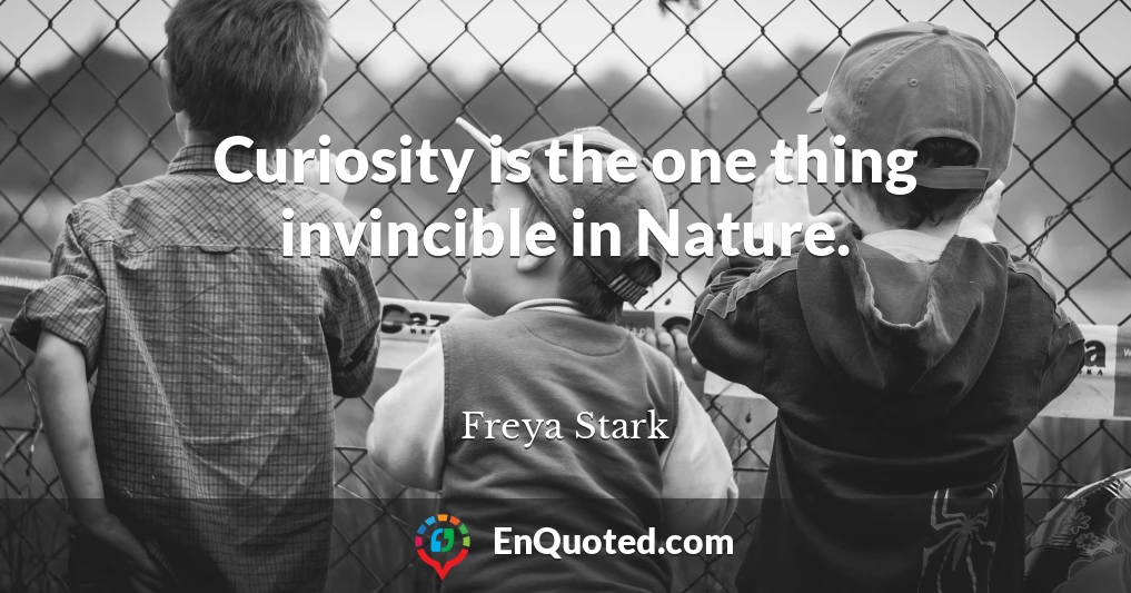 Curiosity is the one thing invincible in Nature.