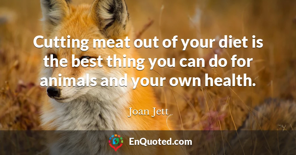 Cutting meat out of your diet is the best thing you can do for animals and your own health.