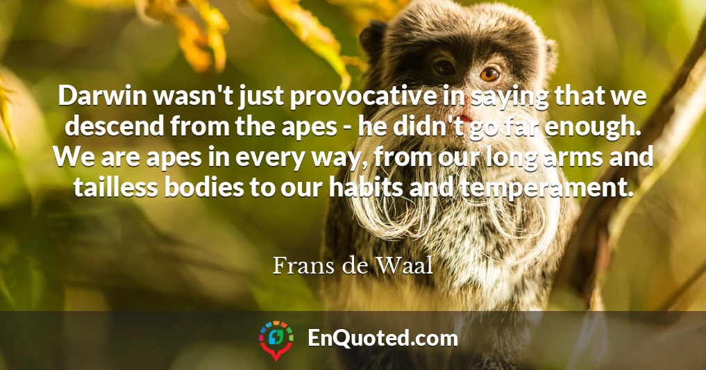 Darwin wasn't just provocative in saying that we descend from the apes - he didn't go far enough. We are apes in every way, from our long arms and tailless bodies to our habits and temperament.