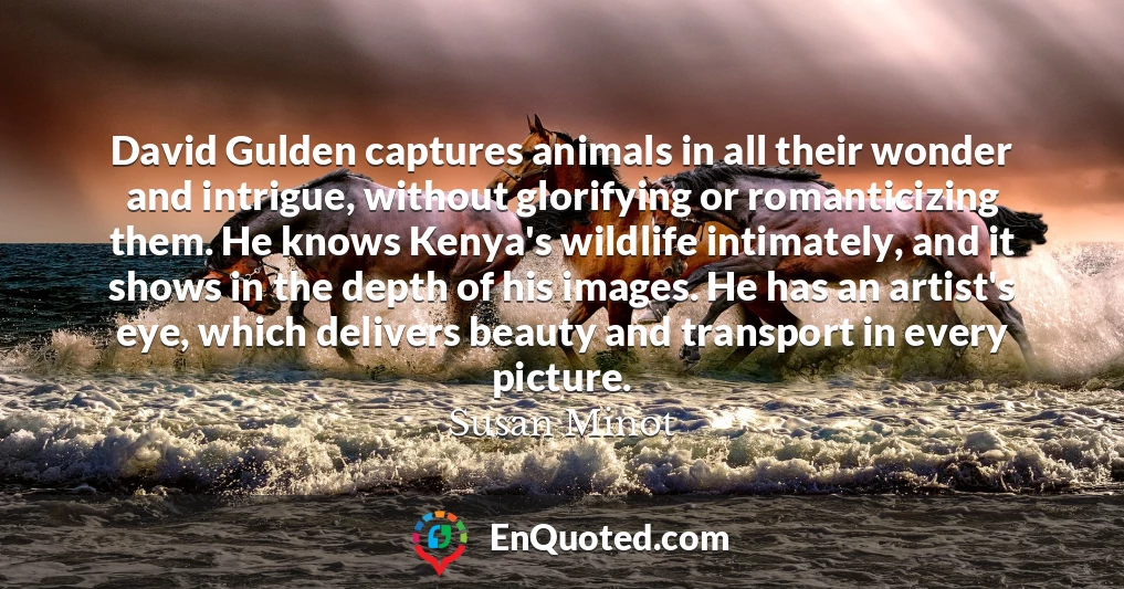 David Gulden captures animals in all their wonder and intrigue, without glorifying or romanticizing them. He knows Kenya's wildlife intimately, and it shows in the depth of his images. He has an artist's eye, which delivers beauty and transport in every picture.