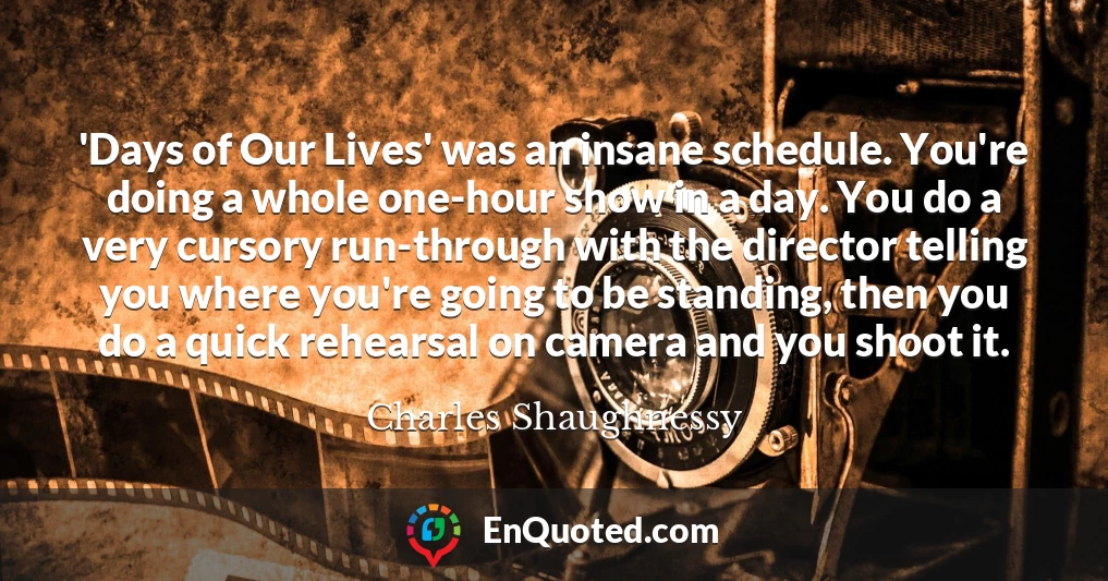 'Days of Our Lives' was an insane schedule. You're doing a whole one-hour show in a day. You do a very cursory run-through with the director telling you where you're going to be standing, then you do a quick rehearsal on camera and you shoot it.