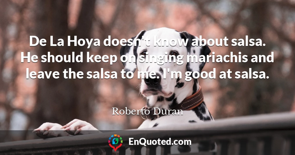 De La Hoya doesn't know about salsa. He should keep on singing mariachis and leave the salsa to me. I'm good at salsa.