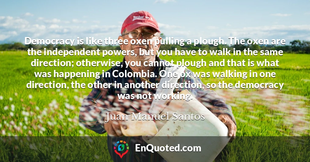 Democracy is like three oxen pulling a plough. The oxen are the independent powers, but you have to walk in the same direction; otherwise, you cannot plough and that is what was happening in Colombia. One ox was walking in one direction, the other in another direction, so the democracy was not working.