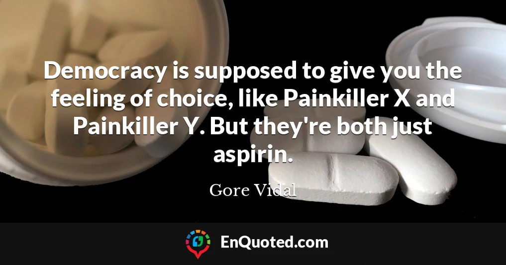 Democracy is supposed to give you the feeling of choice, like Painkiller X and Painkiller Y. But they're both just aspirin.