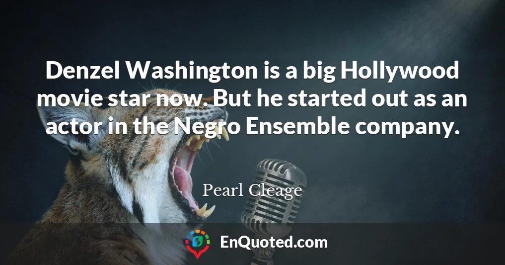 Denzel Washington is a big Hollywood movie star now. But he started out as an actor in the Negro Ensemble company.