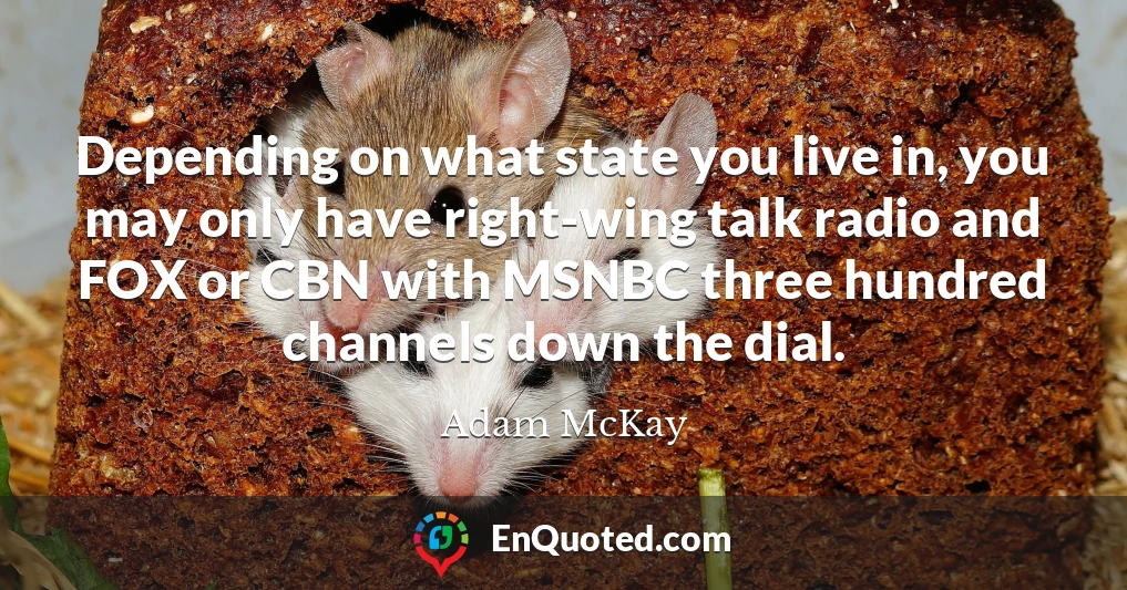 Depending on what state you live in, you may only have right-wing talk radio and FOX or CBN with MSNBC three hundred channels down the dial.
