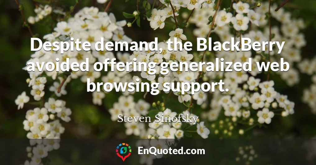 Despite demand, the BlackBerry avoided offering generalized web browsing support.