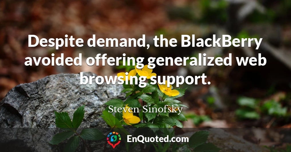 Despite demand, the BlackBerry avoided offering generalized web browsing support.