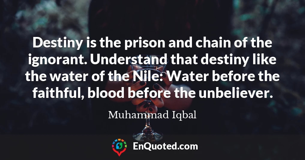 Destiny is the prison and chain of the ignorant. Understand that destiny like the water of the Nile: Water before the faithful, blood before the unbeliever.
