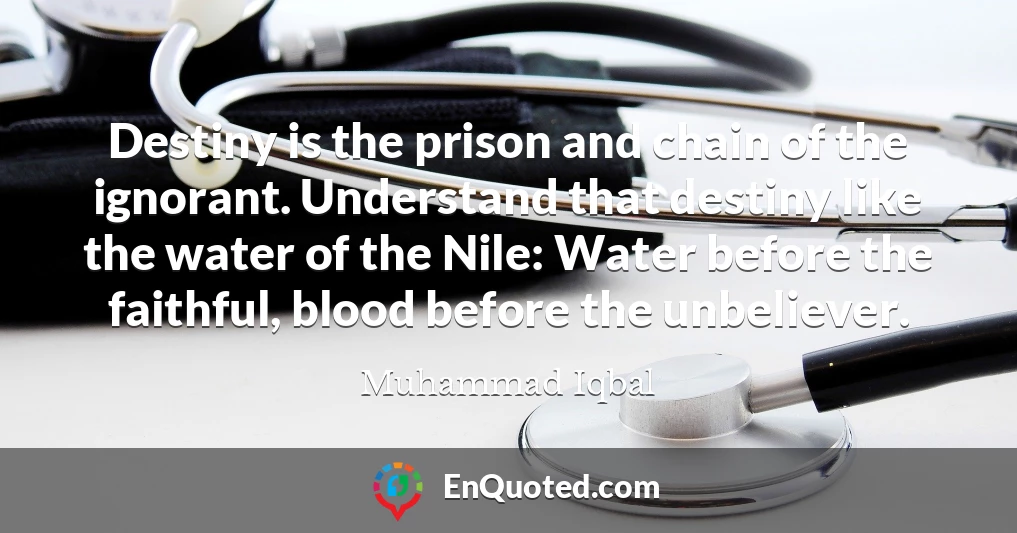 Destiny is the prison and chain of the ignorant. Understand that destiny like the water of the Nile: Water before the faithful, blood before the unbeliever.