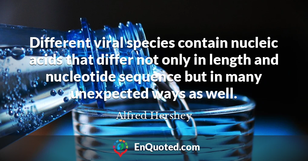 Different viral species contain nucleic acids that differ not only in length and nucleotide sequence but in many unexpected ways as well.