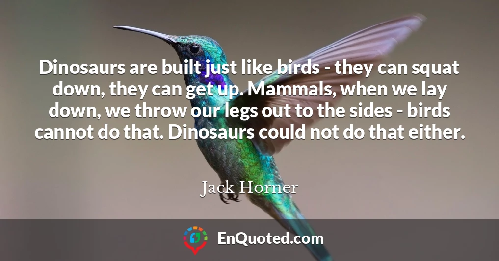 Dinosaurs are built just like birds - they can squat down, they can get up. Mammals, when we lay down, we throw our legs out to the sides - birds cannot do that. Dinosaurs could not do that either.