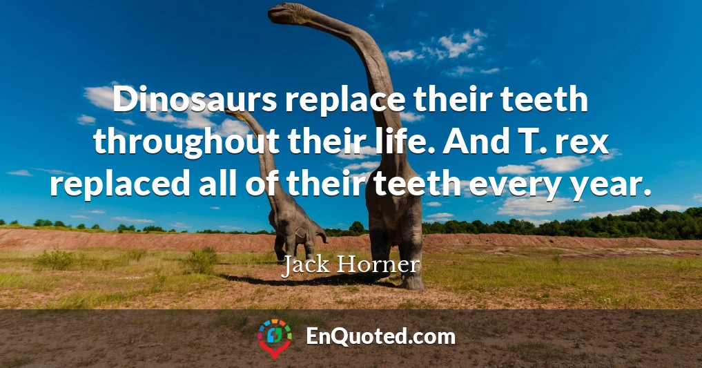 Dinosaurs replace their teeth throughout their life. And T. rex replaced all of their teeth every year.