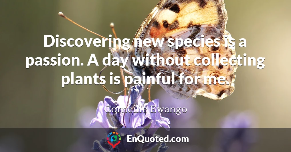 Discovering new species is a passion. A day without collecting plants is painful for me.
