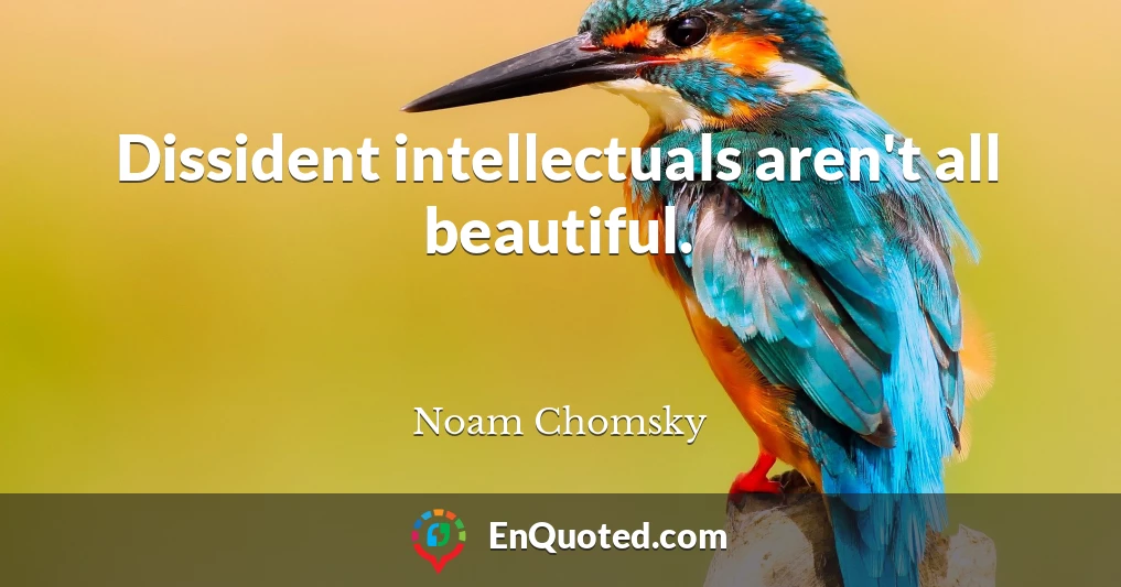 Dissident intellectuals aren't all beautiful.