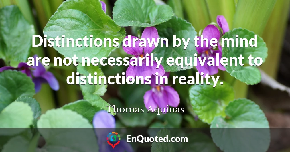 Distinctions drawn by the mind are not necessarily equivalent to distinctions in reality.