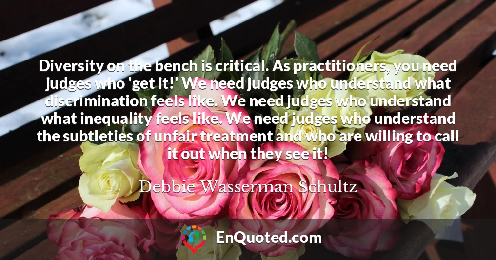 Diversity on the bench is critical. As practitioners, you need judges who 'get it!' We need judges who understand what discrimination feels like. We need judges who understand what inequality feels like. We need judges who understand the subtleties of unfair treatment and who are willing to call it out when they see it!