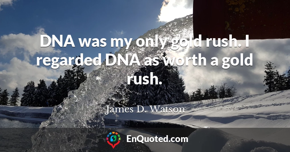 DNA was my only gold rush. I regarded DNA as worth a gold rush.