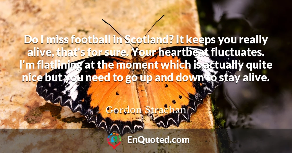 Do I miss football in Scotland? It keeps you really alive, that's for sure. Your heartbeat fluctuates. I'm flatlining at the moment which is actually quite nice but you need to go up and down to stay alive.